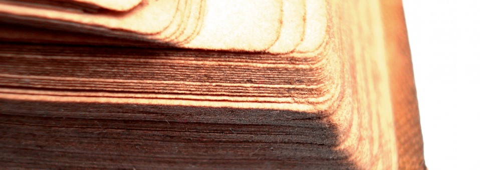 biblia-logo